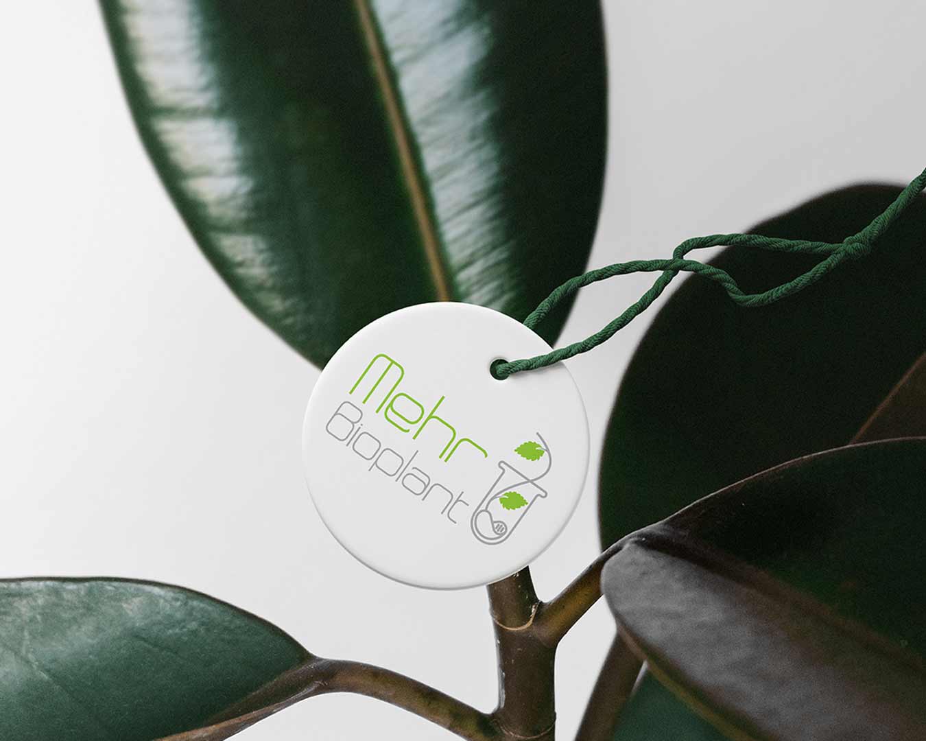 طراحی لوگو شرکت مهر زیست گیاه